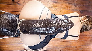 NO ANAL LIMIT 2