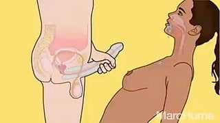 Crazy Cartoon